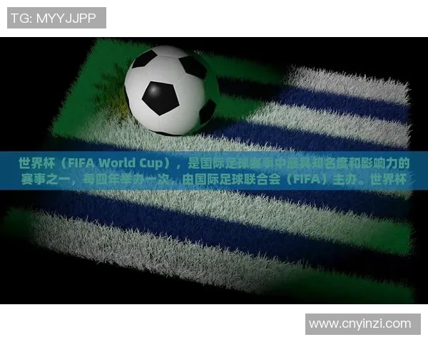 足球世界杯赛事营销及全球影响力分析